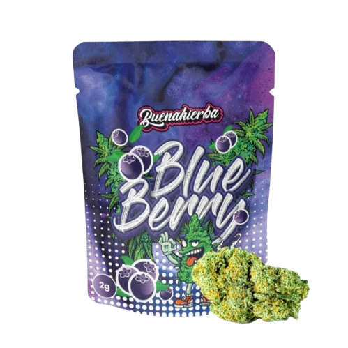 blueberry-cbd