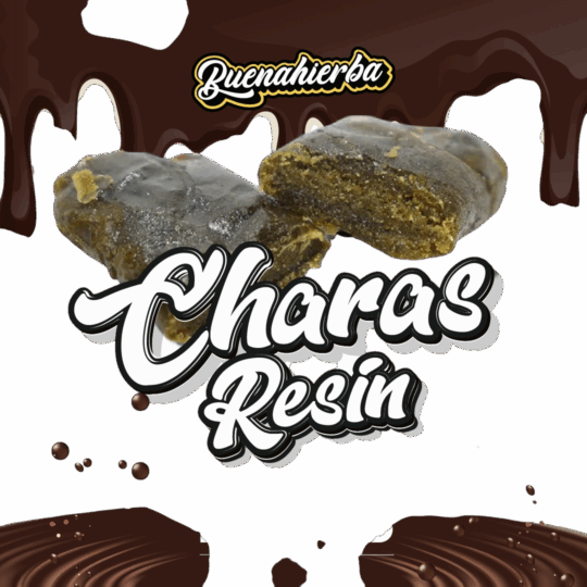Charas Resin CBD