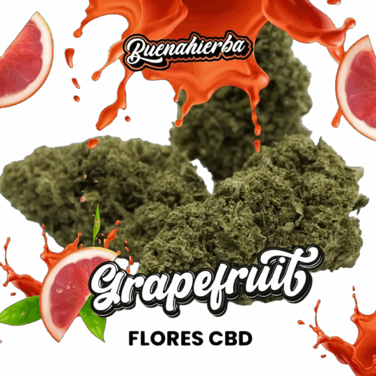 Grapefruit CBD