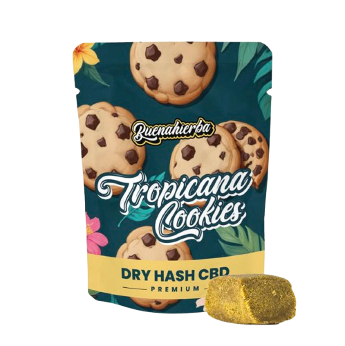 tropicana-cookies-dry-hash-cbd
